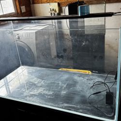 60 Gallon Rimless Fish Tank Aquarium 
