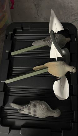 Vintage Dove Decoys in Box