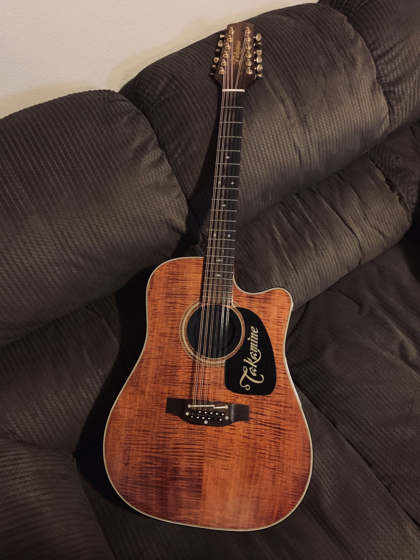 Takamine npt-212-12