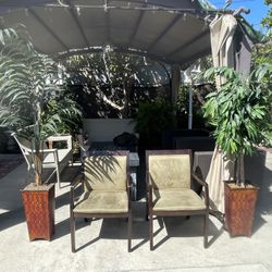 Paoli Chairs And Artificial Palms 