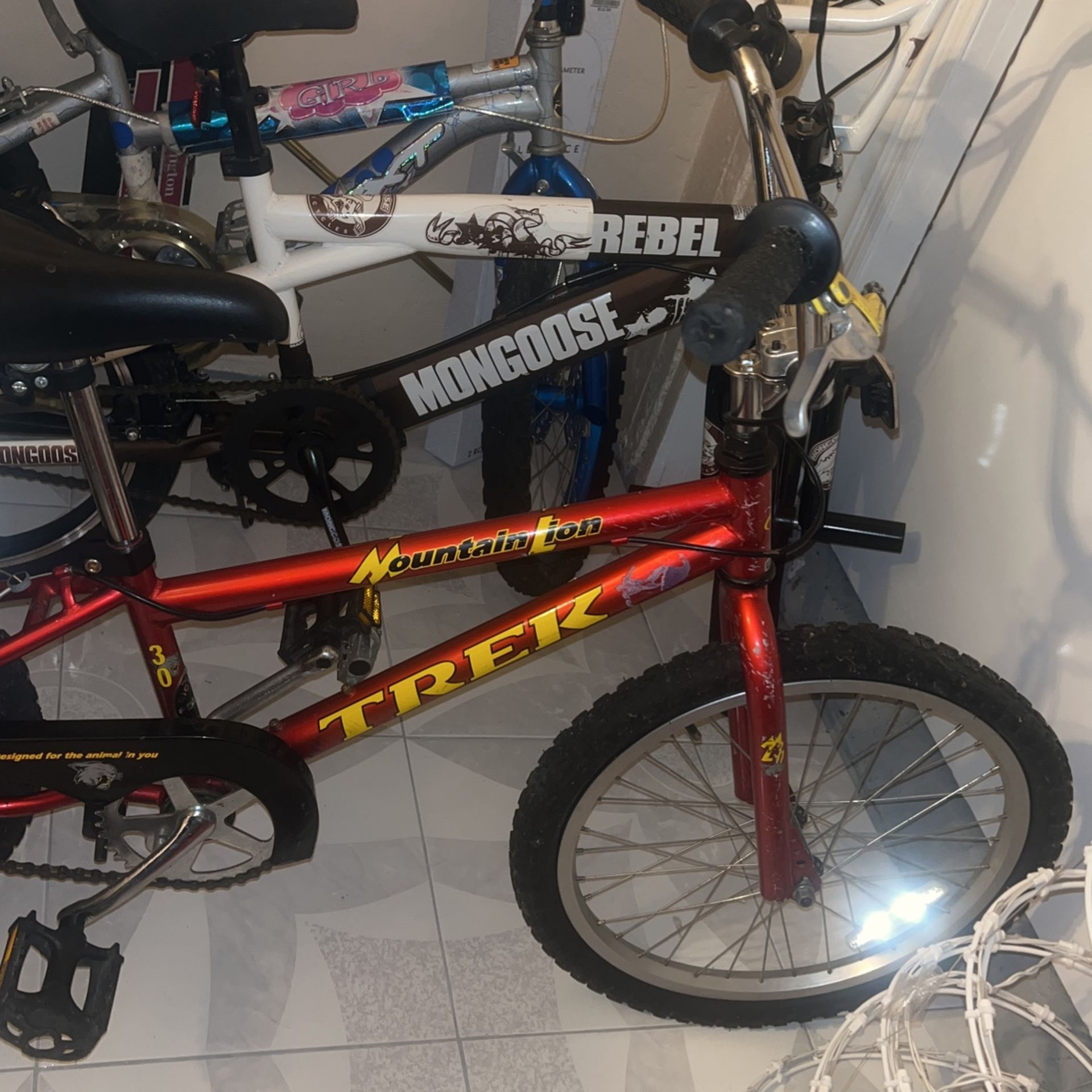 Bike (Mountain Lion Trek)