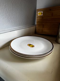 Vintage style white and gold rim dinner plates