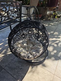 swing cat bed black
