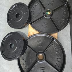 Weight Rogue Deepdish Plates