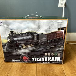 Hot Bee Train Set - Collectors Version Steam Train (Rare) 