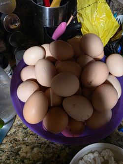 Organic eggs