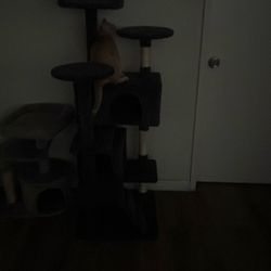 cat tower 
