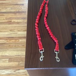 Double Dog Leash 