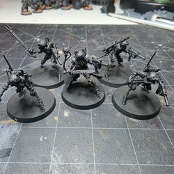 Sicarian Infiltrators