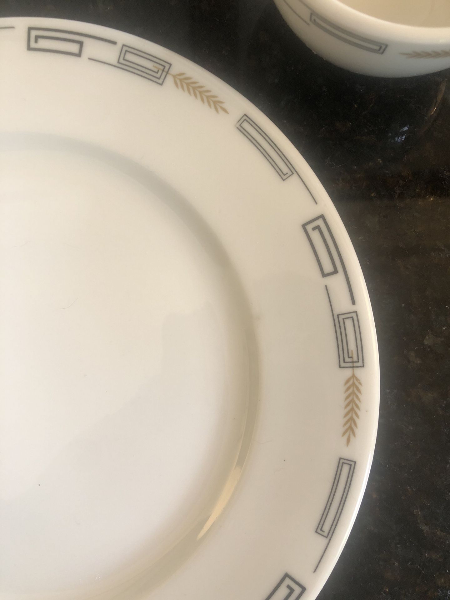 Mid century Dishes-Hard To Find Pattern