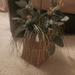 Artificial  Plant 