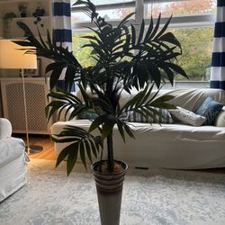 Short Plant 
