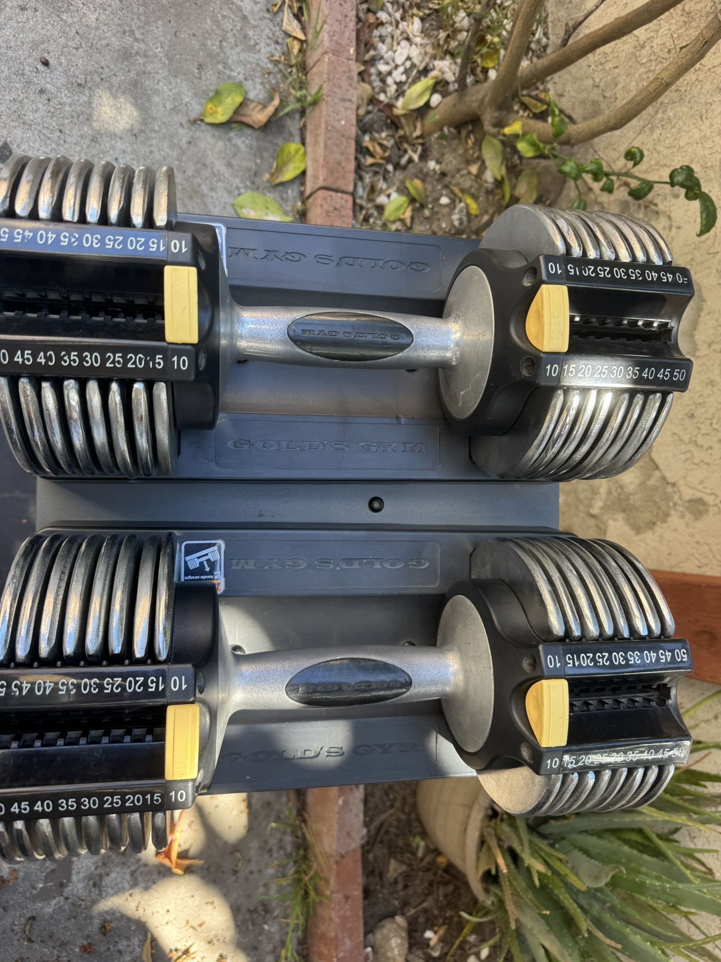 Gold’s Gym switch plates 100 adjustable dumbbells