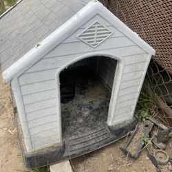 Dog House 