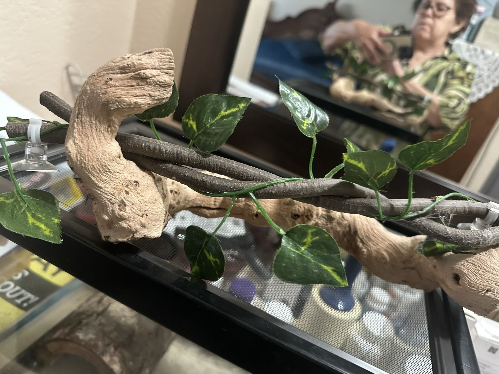 Tarántula Enclosures Size 15x9x8 5 Galons