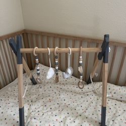 Baby Play Gym 