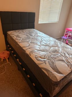 2 twin bed frames