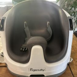 Ingenuity Booster Seat