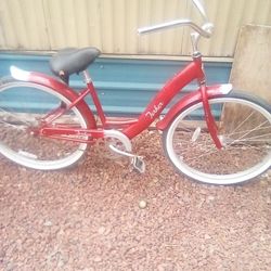 Single Speed Bike Adult 