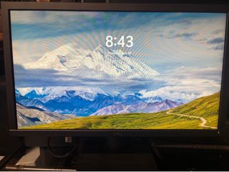 Two identical Dell Monitors