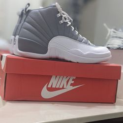 Nike Air Jordan 12 Retro "Stealth" Sneaker 👟
