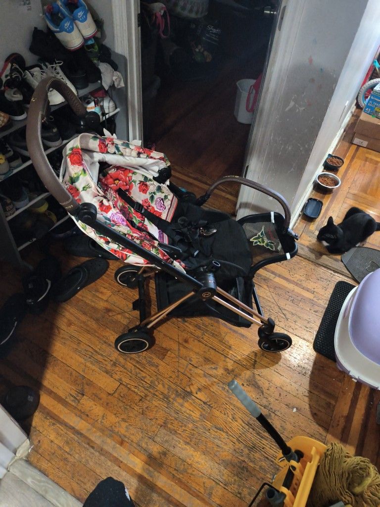 Cybex Spring Stroller