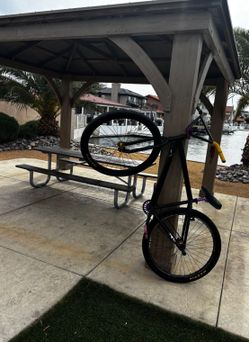 SE BIG FLYER 29er