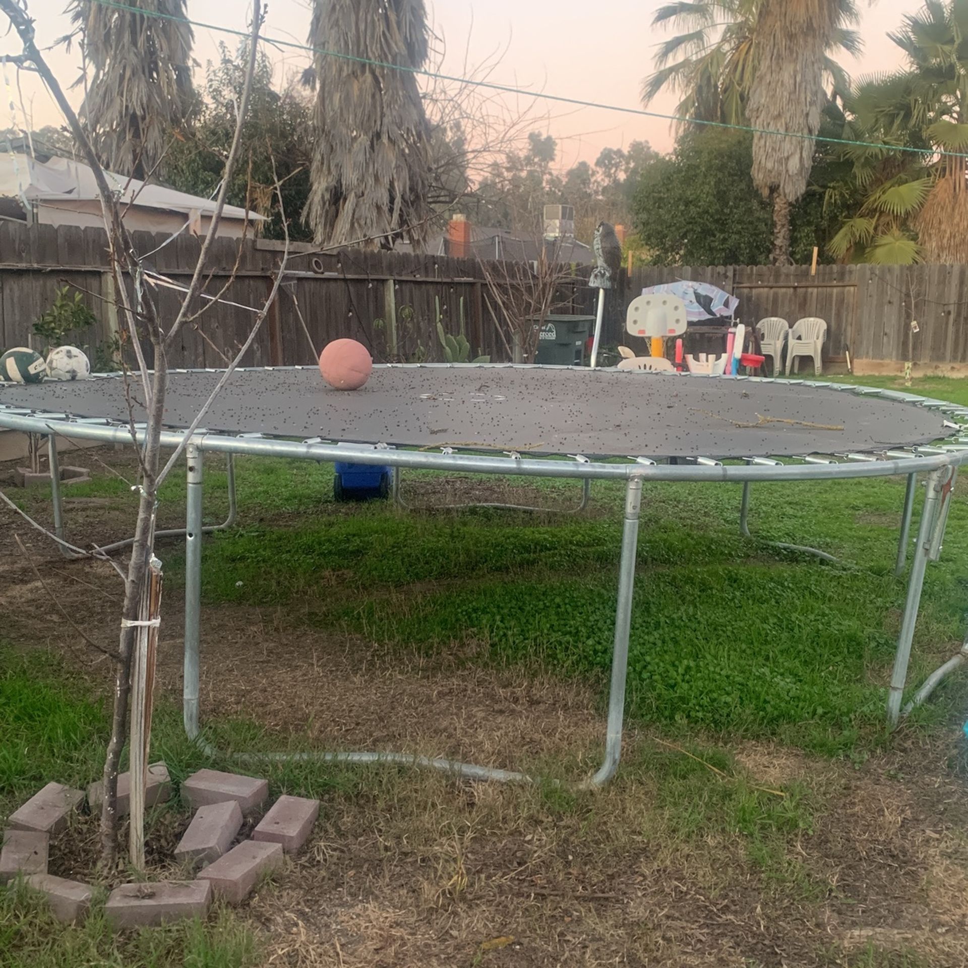 Trampolín