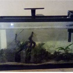 29 gallon aquarium with Seachem filter and Aqueon light!