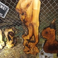 Black Walnut Slabs 