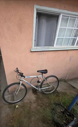 Bicicleta Access Pro (Blanca/Gris)
