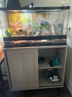 25 Gallon Reptile Tank and Stand