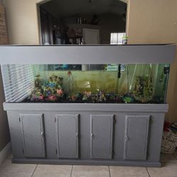 125 gal fish tank