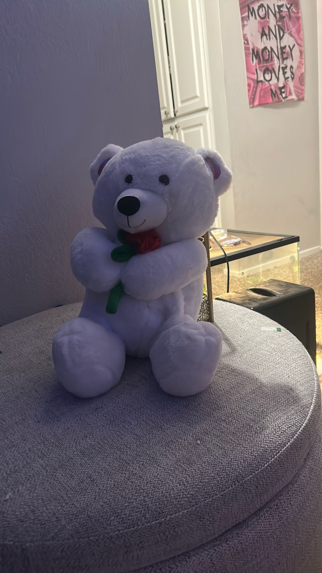 Teddy Bear