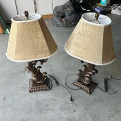 Pair Of Beautiful Lamps 
