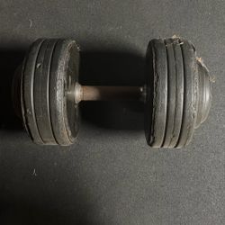 Dumbbell Pair 