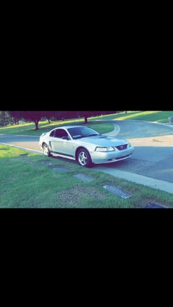 2000 Ford Mustang