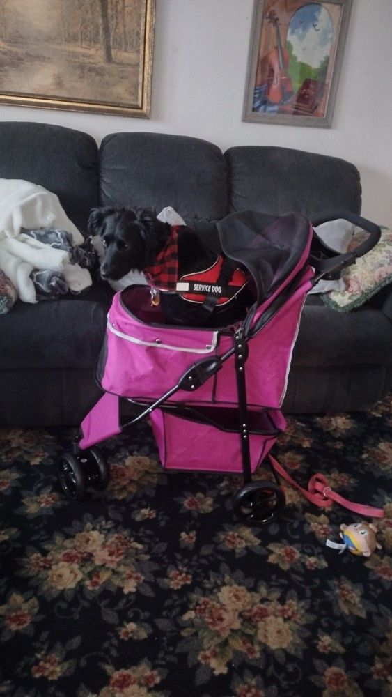 Everyyay Dog Stroller