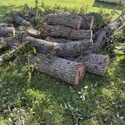 Firewood 