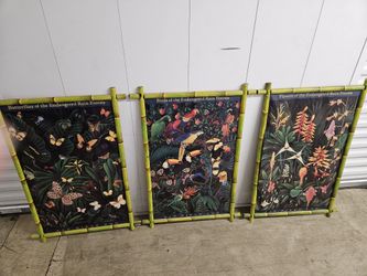 Rainforest, San Diego Zoo Posters