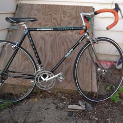 Tarara Elitist Vintage Race Bike