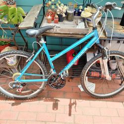 Women's Diamondback Mountain Bike