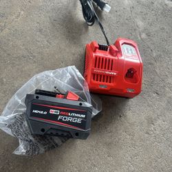 Milwaukee Batería Y Cargador 