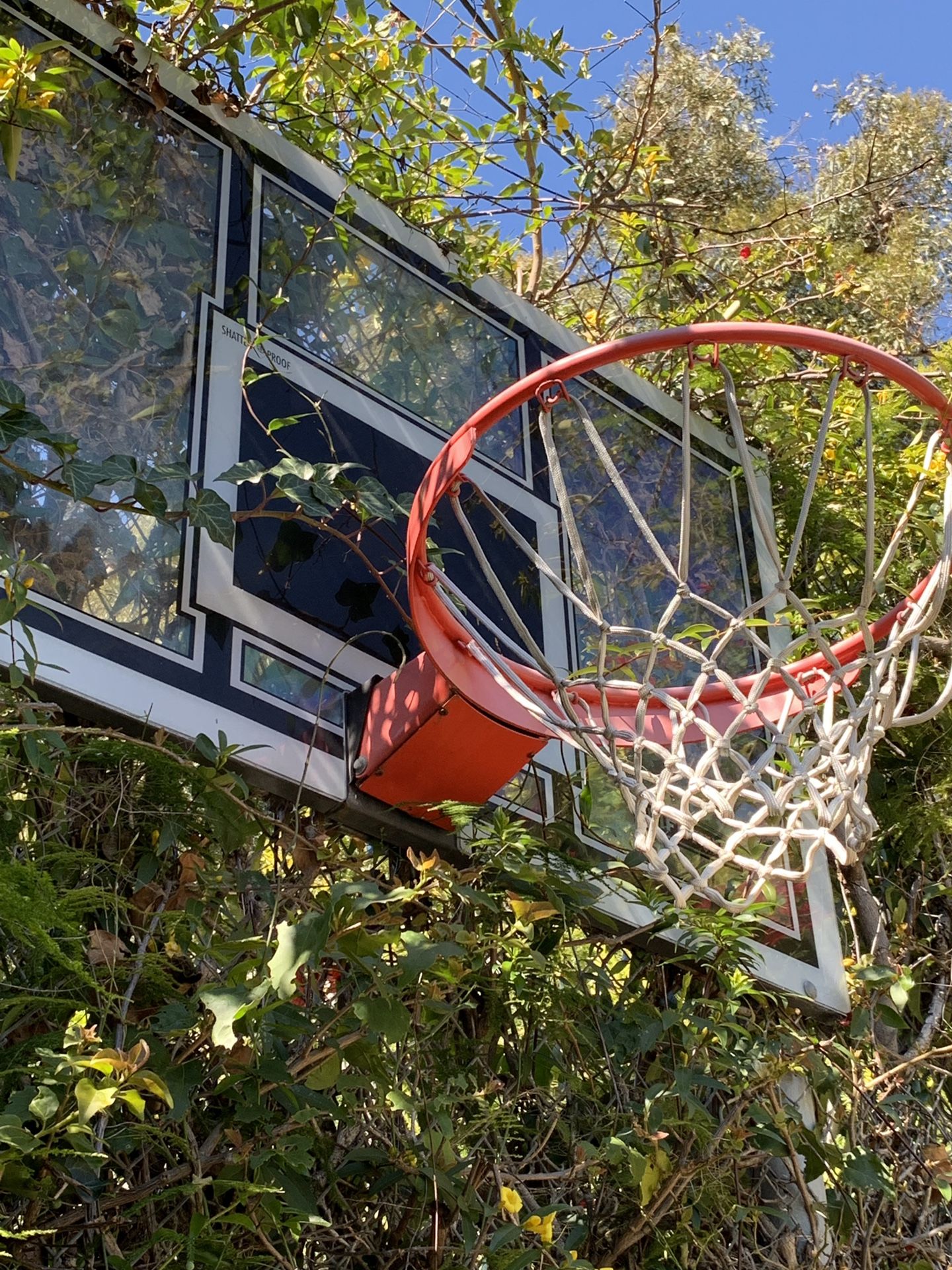 “Lifetime” basketball hoops (2 hoops) 52”