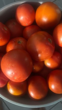 Tomatoes