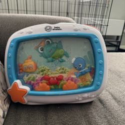 Baby Einstein Aquarium