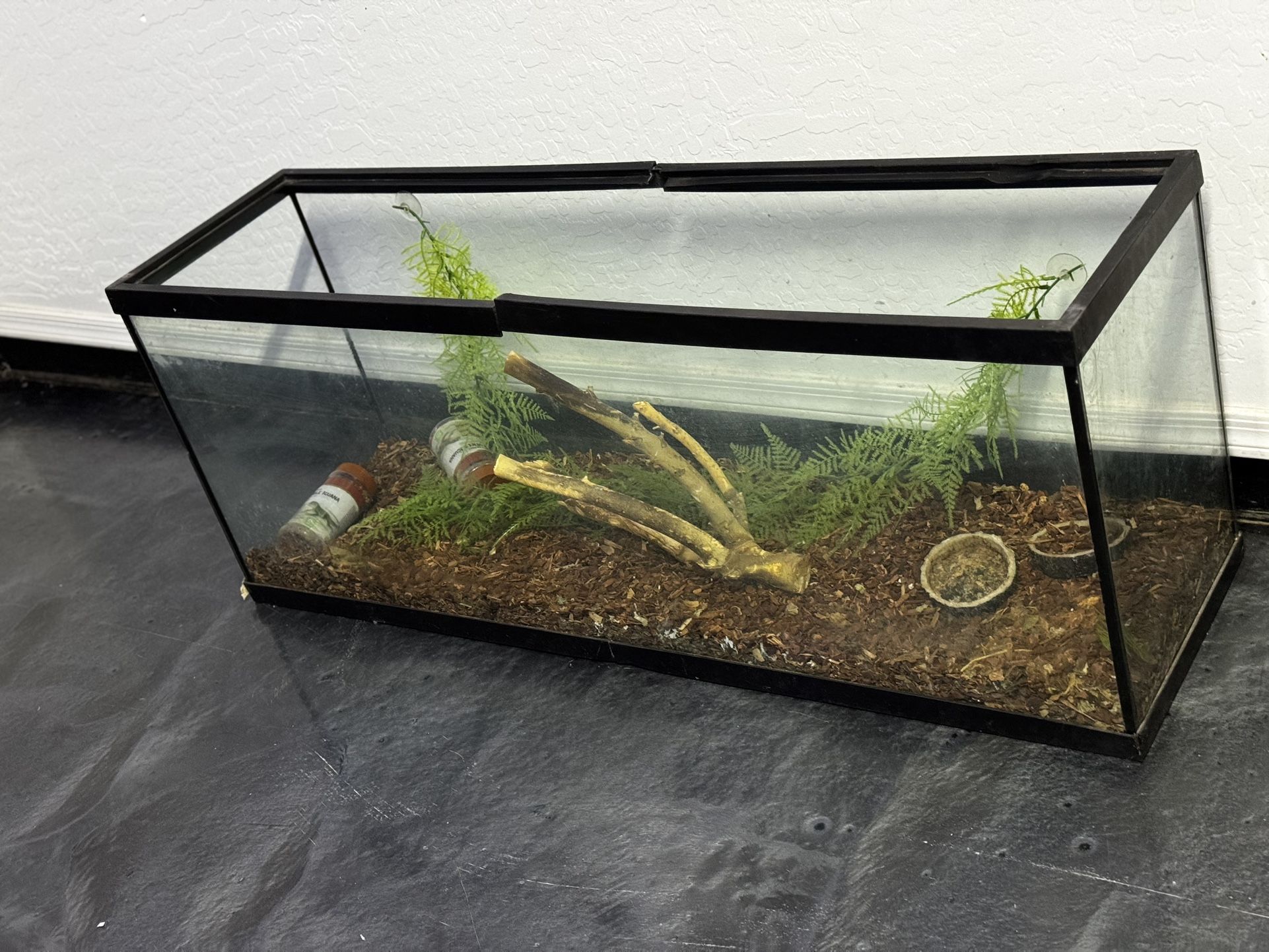 Aquarium / terrarium 