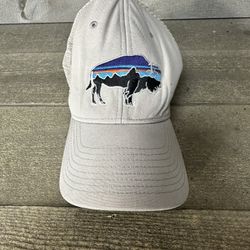 Patagonia Fitz Roy Bison Baseball Hat Mesh Buffalo Snapback Men's Tan White