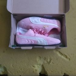 Pink Puma's 