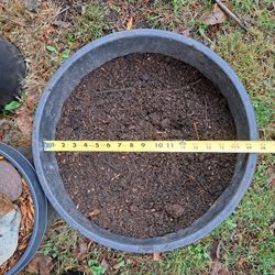 #15 Squat Nursery Pots / Containers x20